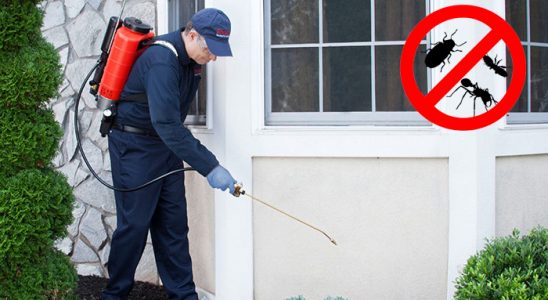 Simav Karınca İlaçlama böcek ilaçlama ve haşere kontrolü — ilaclama-tr.com